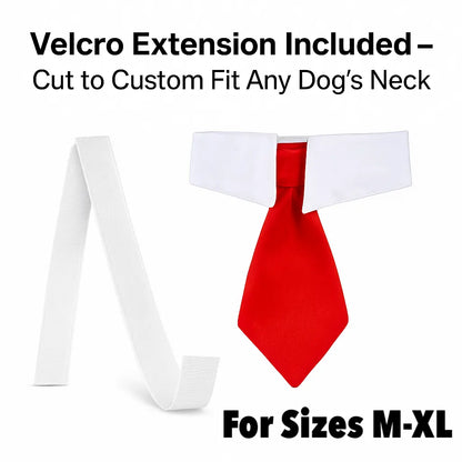 Trump Dog Costume Set - 2 Piece Hilarious Halloween Costume for Cats & Dogs with Red Tie & Blonde Wig - Easy On/Off Design for Pet Festivals
